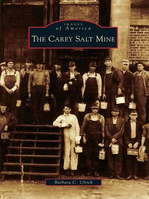 cover image of The Carey Salt Mine